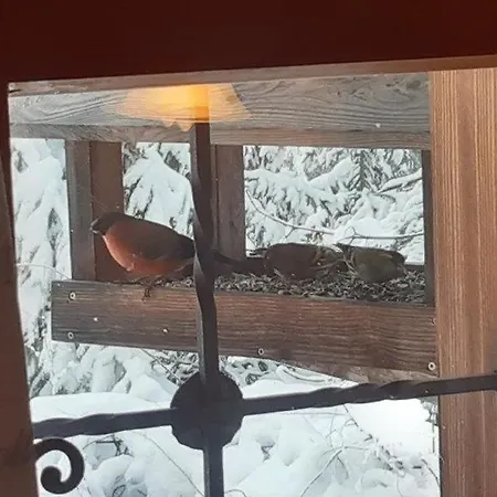 Casa vacanze Teufelsteinblick