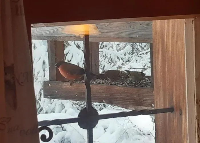 Vakantiehuis Teufelsteinblick